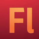 flash-flex-training